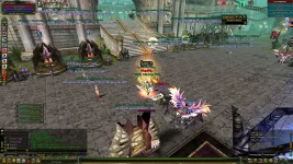 pelerindalga2.webp